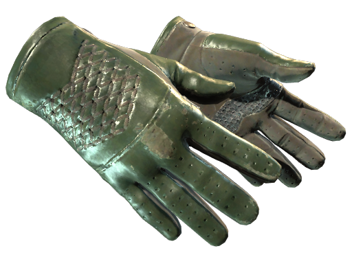 ★ Driver Gloves | Racing Green (Well-Worn)