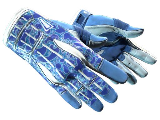 ★ Sport Gloves | Amphibious (Factory New)