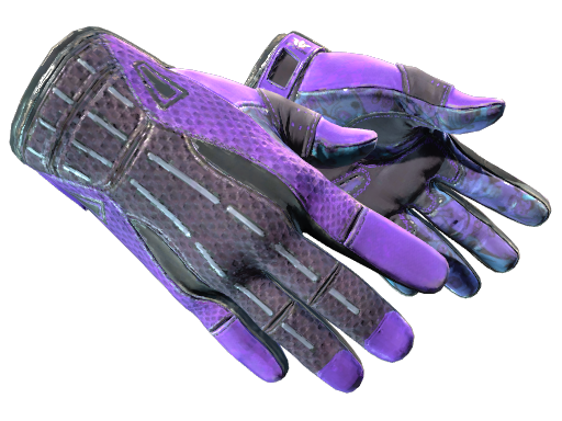 ★ Sport Gloves | Pandora's Box (Field-Tested)