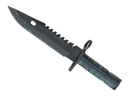 ★ M9 Bayonet | Night (Field-Tested)