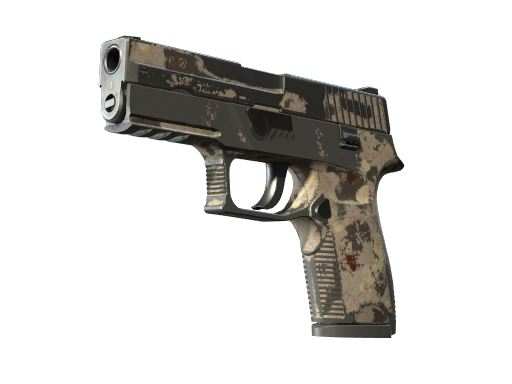 P250 | Black & Tan (Battle-Scarred)