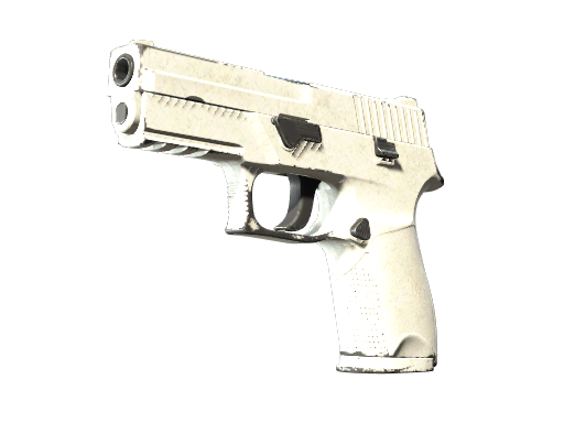 P250 | Whiteout (Field-Tested)