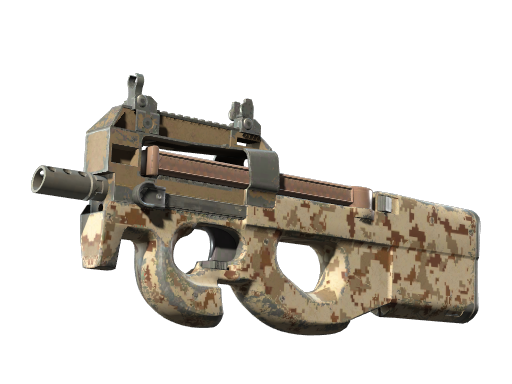 P90 | Desert DDPAT (Well-Worn)